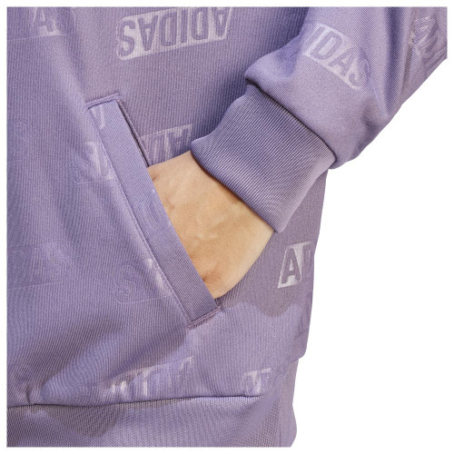 Adidas Γυναικείο φούτερ W BLUV Q4 HD